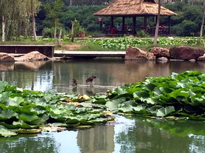 速圍觀 青少年網(wǎng)絡(luò)攝影大賽投票系統(tǒng)開啟 請(qǐng)為你心中的最佳 小攝手 投上寶貴一票