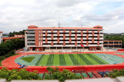 新增3720個公辦學位 9月啟用 東莞這4所學校已完工