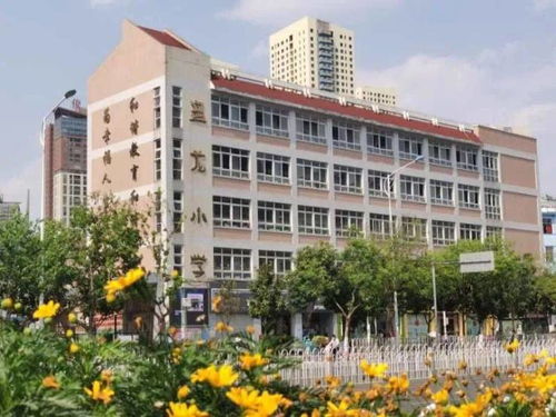 喜訊 盤龍小學正式入駐大華.錦繡麓城a6地塊