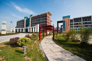 全國500強中學出爐,安徽33所學校上榜 快來看看有沒有你的母校