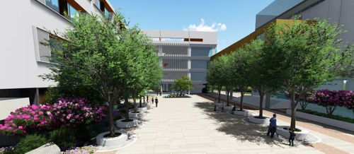 南京市軟件谷小學歡迎你