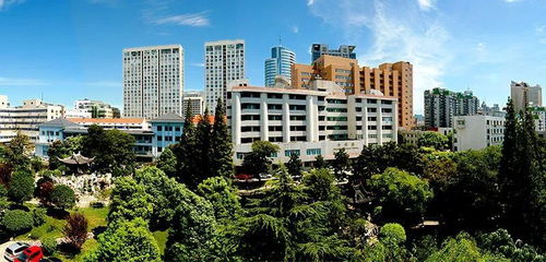 醫院為女性做男科類診療超600次 當地醫保局回應