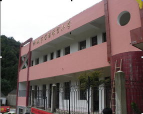 置業(yè)擔(dān)保公司向桐城市長嶺小學(xué)捐贈學(xué)習(xí)用品