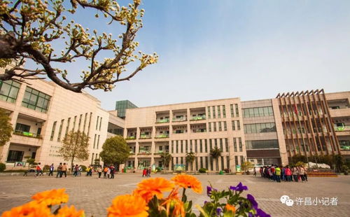 市學(xué)府街小學(xué)爭創(chuàng) 精品學(xué)校 紀(jì)實 讓孩子從這里走向精彩人生