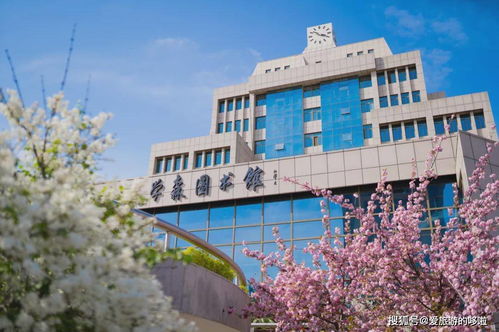 一眼千年繁華，一夢古都盛景：大華第二小學如何點亮古城新生機