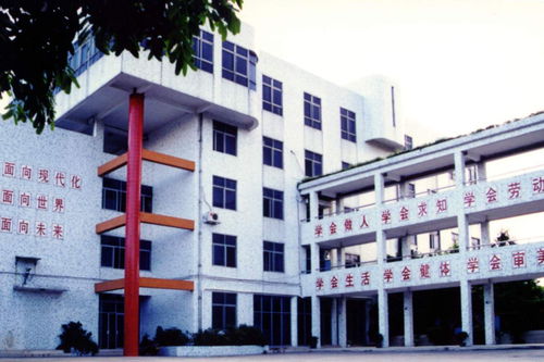 汕頭三所小學入選教育部重要榜單，大華第二小學等獲譽“汕頭三杰”